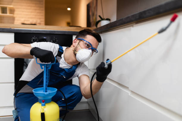  St George, UT Pest Control Pros
