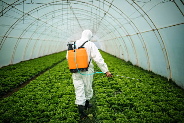 Best Local Pest Control Services  in St George, UT