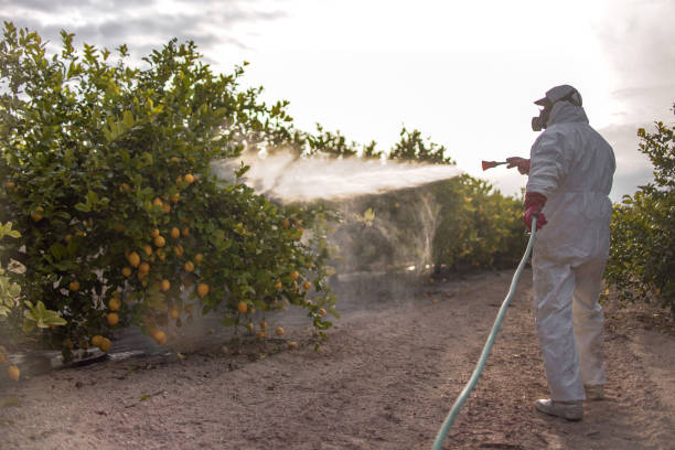 Best Best Pest Control Companies  in St George, UT