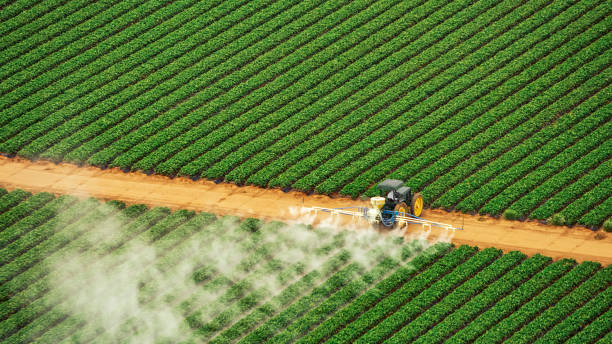 Best Mosquito Control Services  in St George, UT