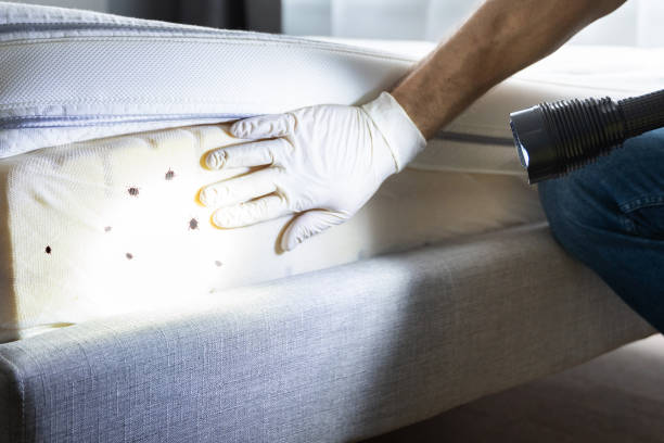 St George, UT Pest Control Company