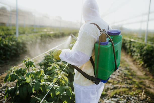 Best Wildlife Control Services  in St George, UT